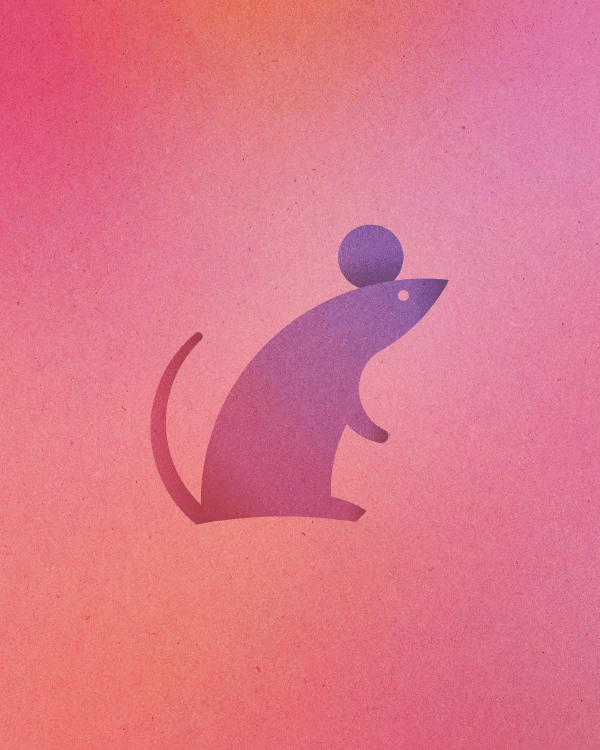 13 Tiere aus 13 Kreisen poster-mouse 