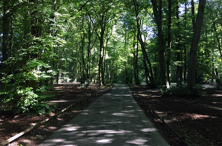 Meine Woche (48) Meine-Woche-48_01 