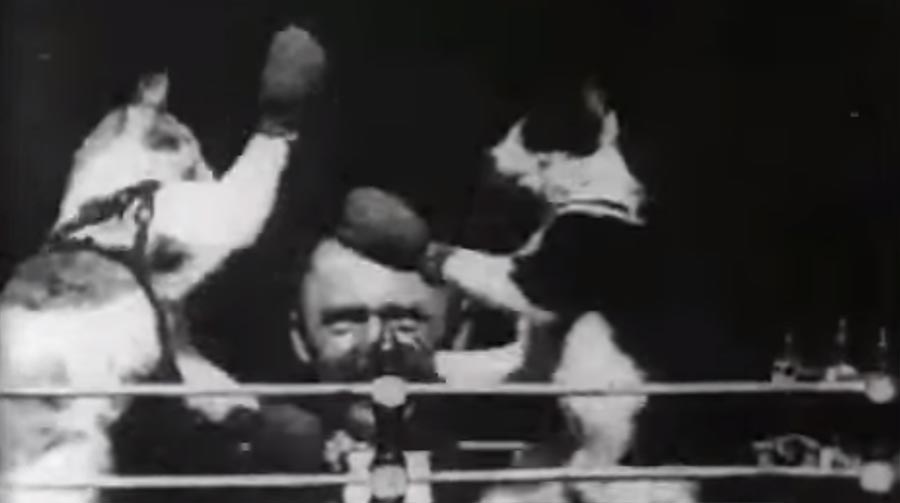 Hat Thomas Edison das erste Katzenvideo überhaupt gemacht?
