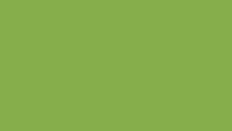 Greenery 15-0343 TCX ist PANTONE-Farbe des Jahres 2017