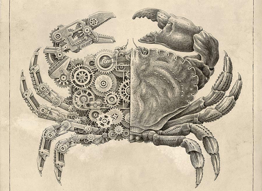 Timelapse-Zeichnung einer mechanischen Krabbe mechanical-crab 