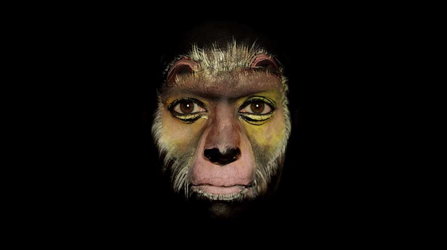 Die Evolution auf dem Gesicht durchgespielt evolution-face-stopmotion-santiago 