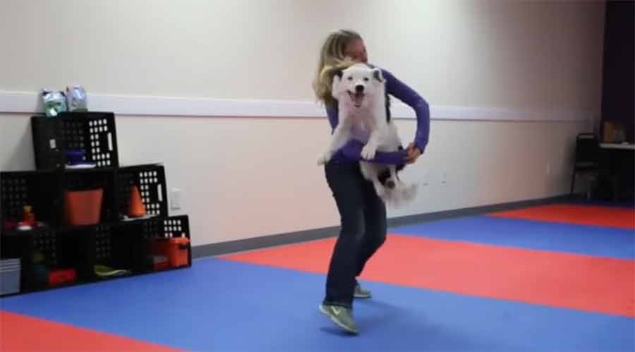 Klasse Tanzroutine mit Hund