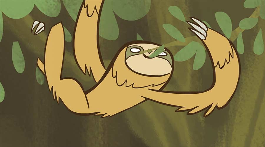 Wieso bewegen sich Faultiere eigentlich so langsam? why-are-sloths-so-slow 