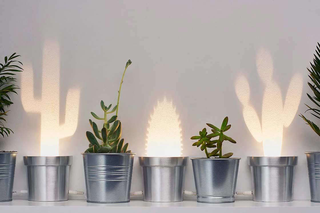 Cactus Lamps