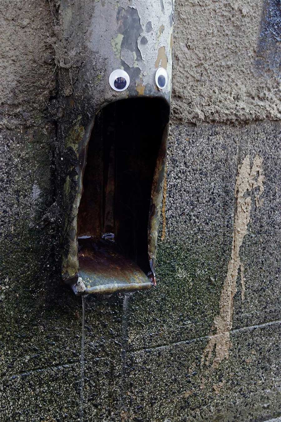 In Bulgarien trägt die Stadt Googly Eyes eyebombing_04 