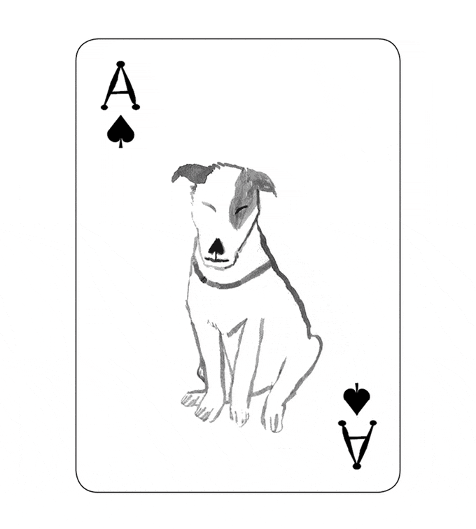 Dieses Kartenspiel ist auf den Hund gekommen pack-of-dogs-playing-cards-john-littleboy-12 