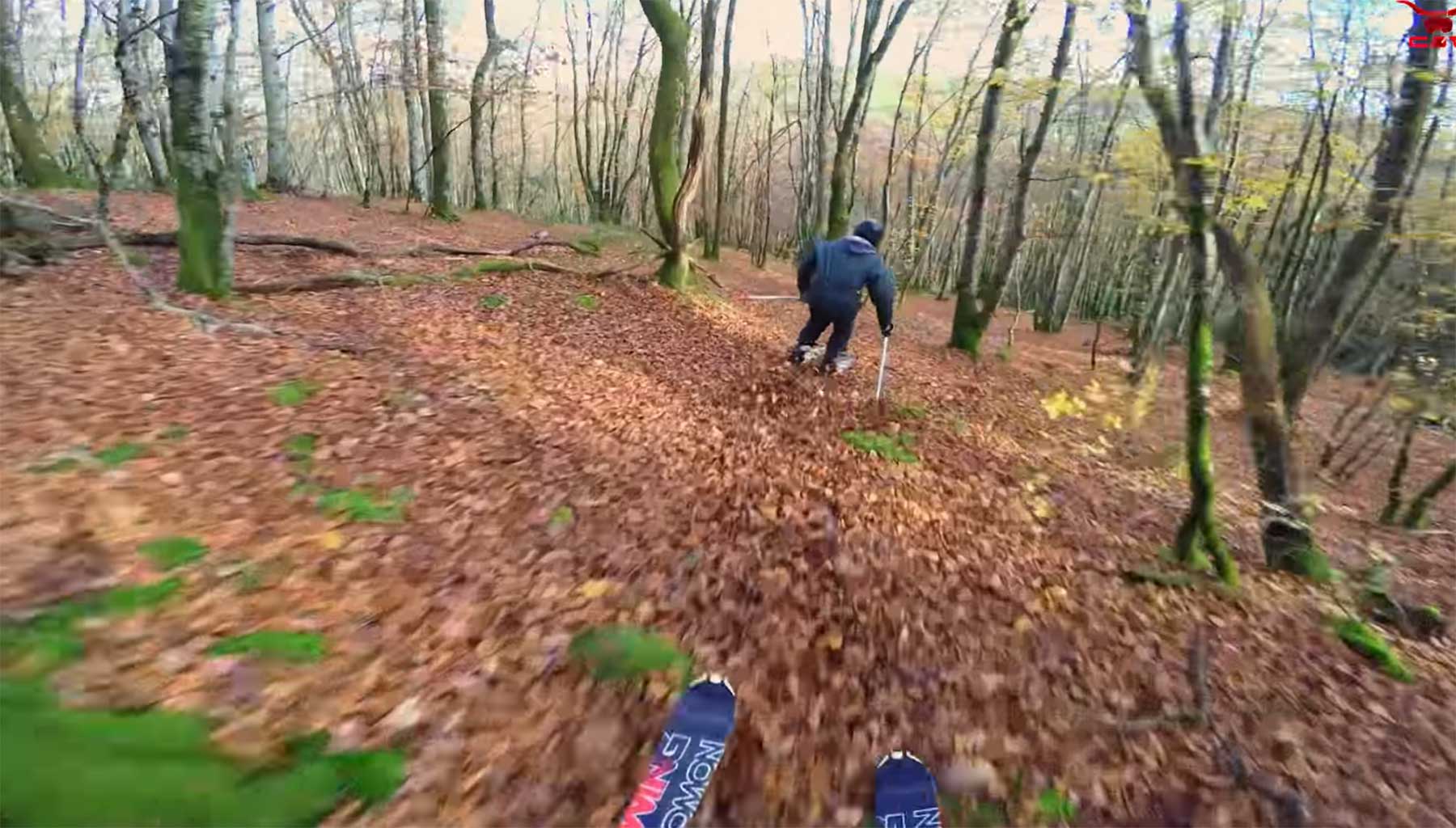 Auf Skiern durch den Herbstwald rasen ski-wald-herbst-laub 