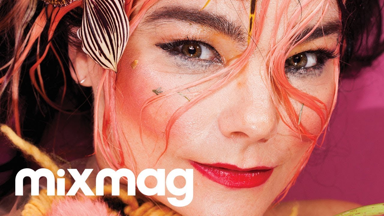 Björk: The Cover Mix Björk 