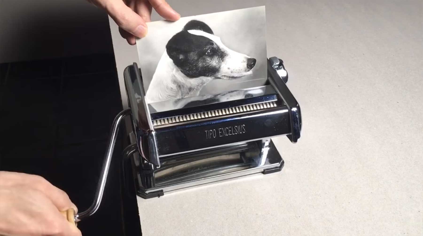 Hundefoto mittels Nudelmaschine vervierfachen