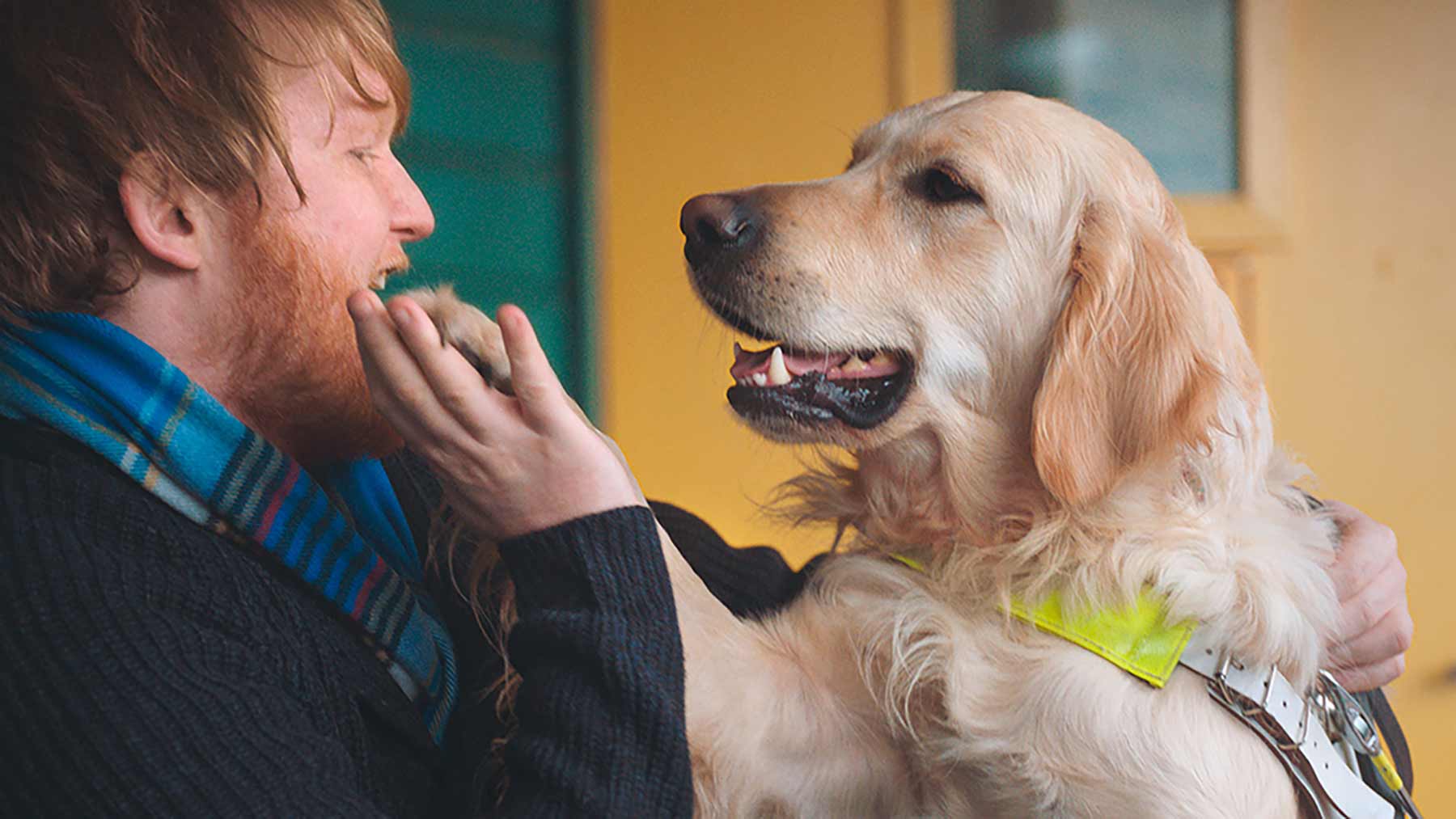 Dieser Hund kann Burger aufgrund ihres Geruches aufspüren Burger-King-Whopper-Dog_02 