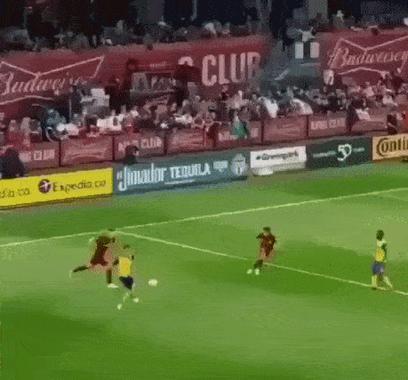 LangweileDich.net_Bilderparade_D_190.gif