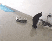 LangweileDich.net_Bilderparade_D_70.gif