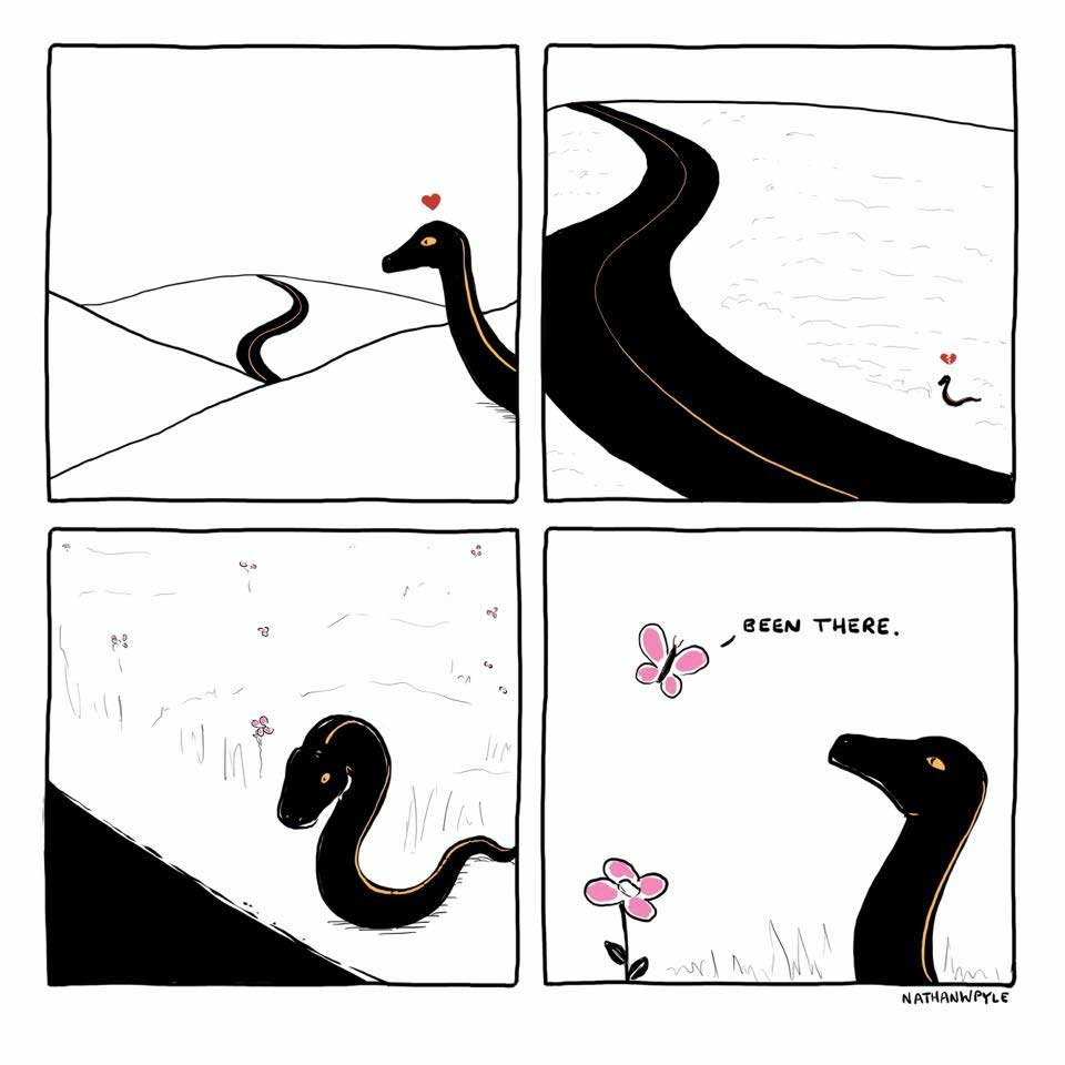 Webcomics von Nathan W. Pyle comics-Nathan-W-Pyle_05 