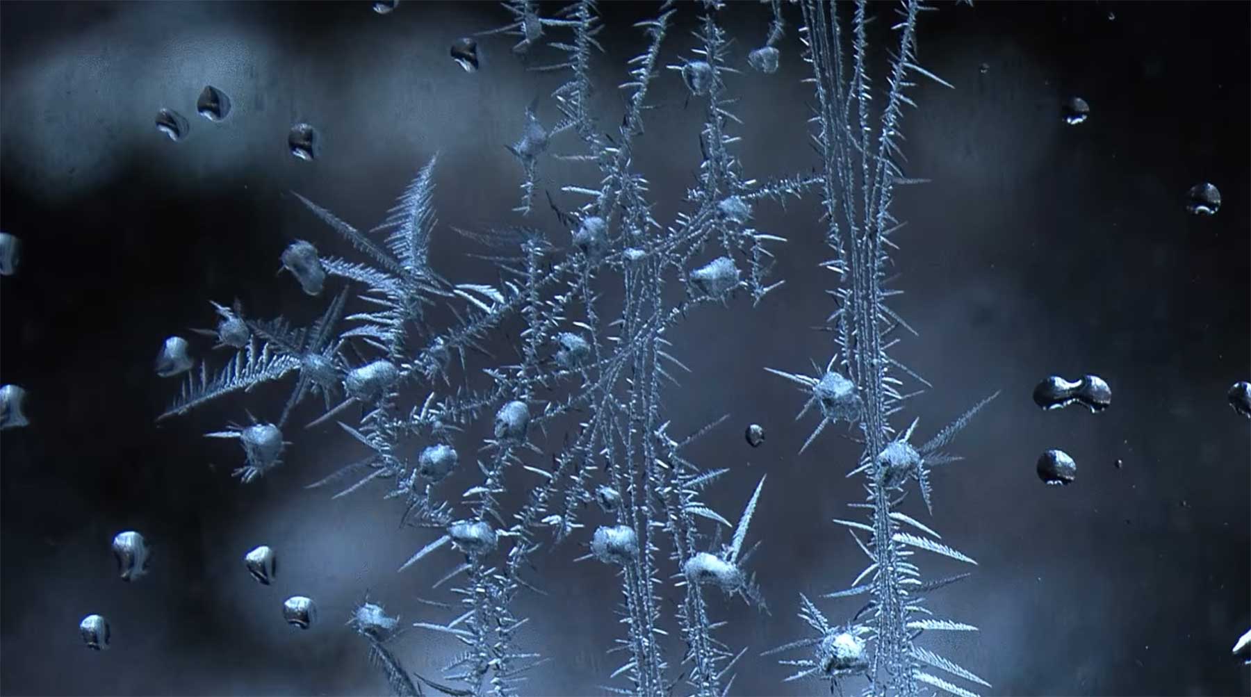 Cool: Fensterfrostbildung im Zeitraffer frostylapse 