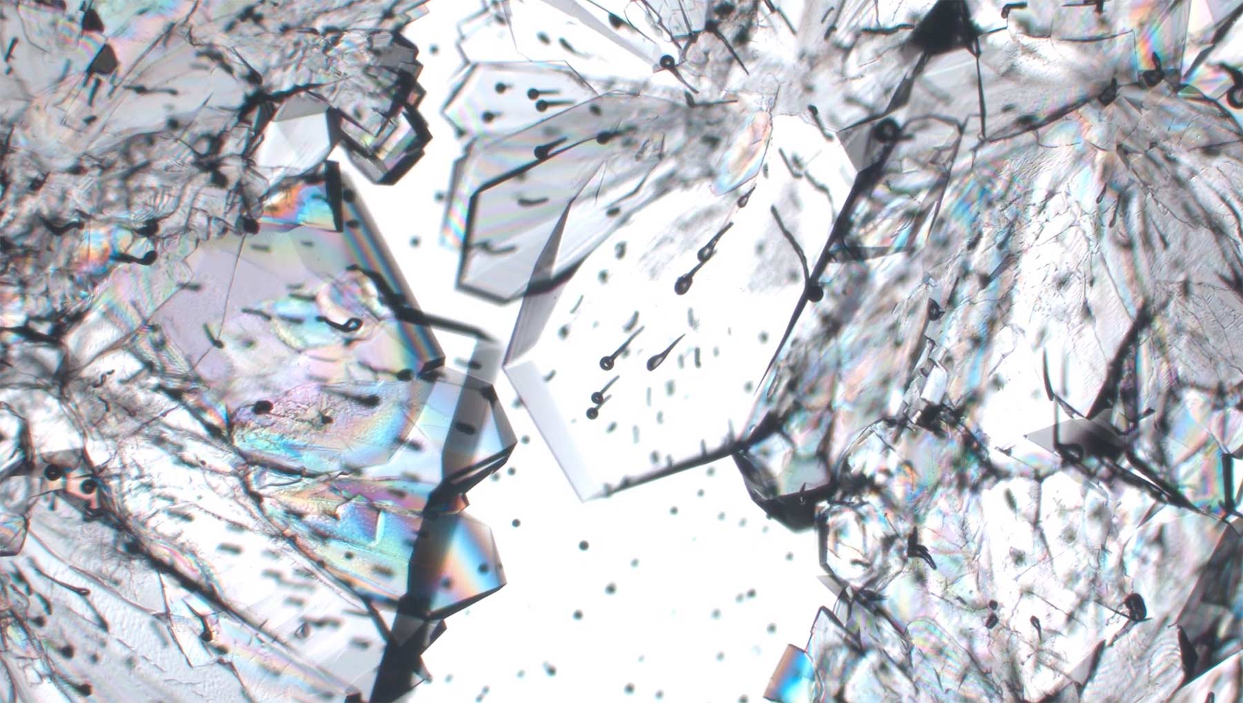 Kristallen beim Wachsen zuschauen