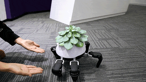 Roboterbeine machen Pflanze zum Haustier roboterpflanze-hexa_03 