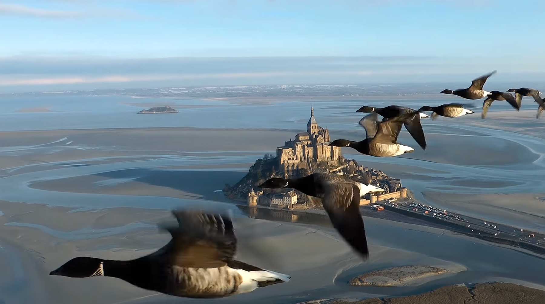 Gemeinsam mit Zugvögeln in Formation fliegen