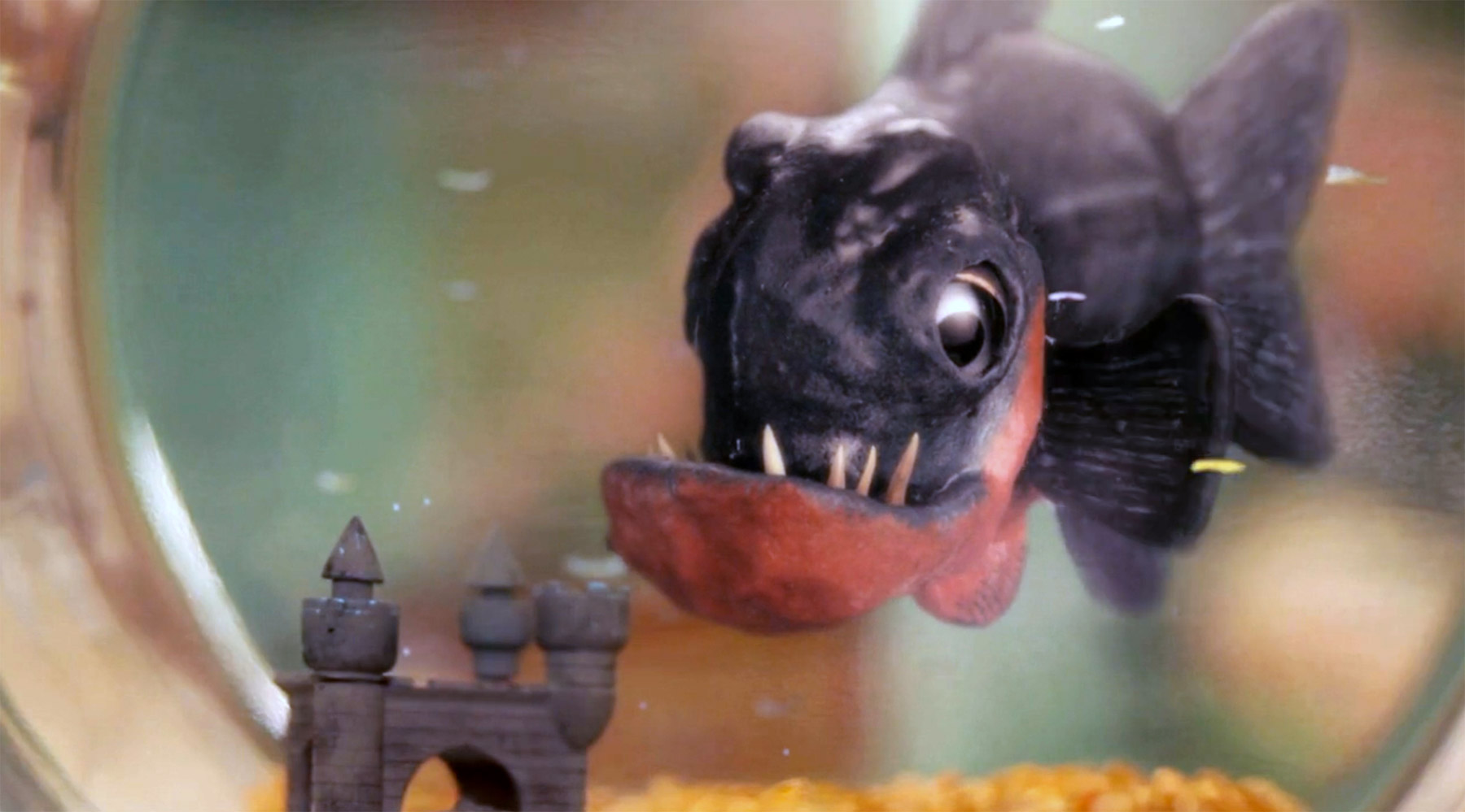 Kurzfilm: „Fish Friend“