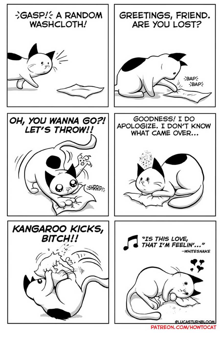Das Leben mit einer Katze im Comic how-to-cat-Lucas-Turnbloom_03 