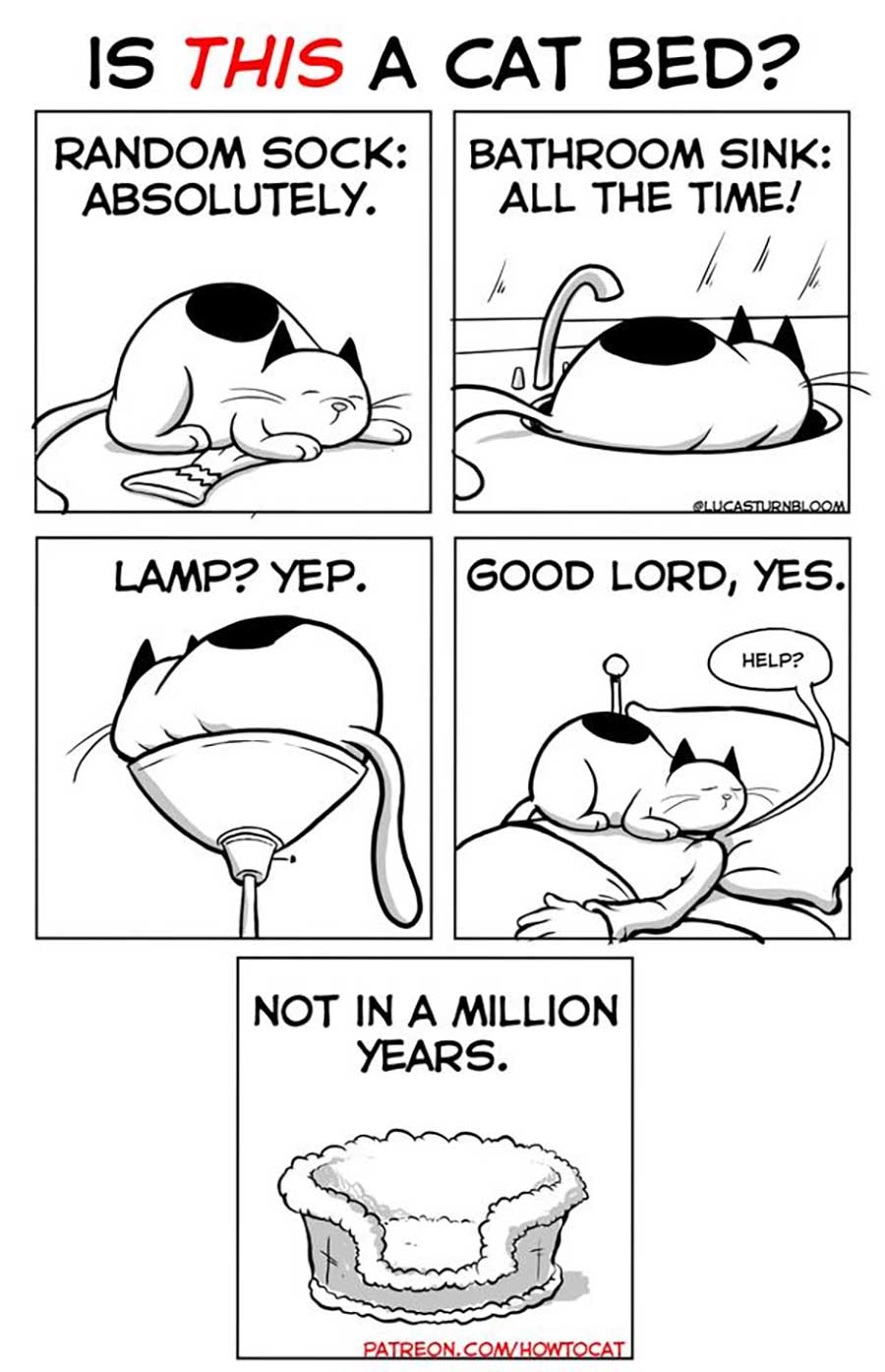 Das Leben mit einer Katze im Comic how-to-cat-Lucas-Turnbloom_04 