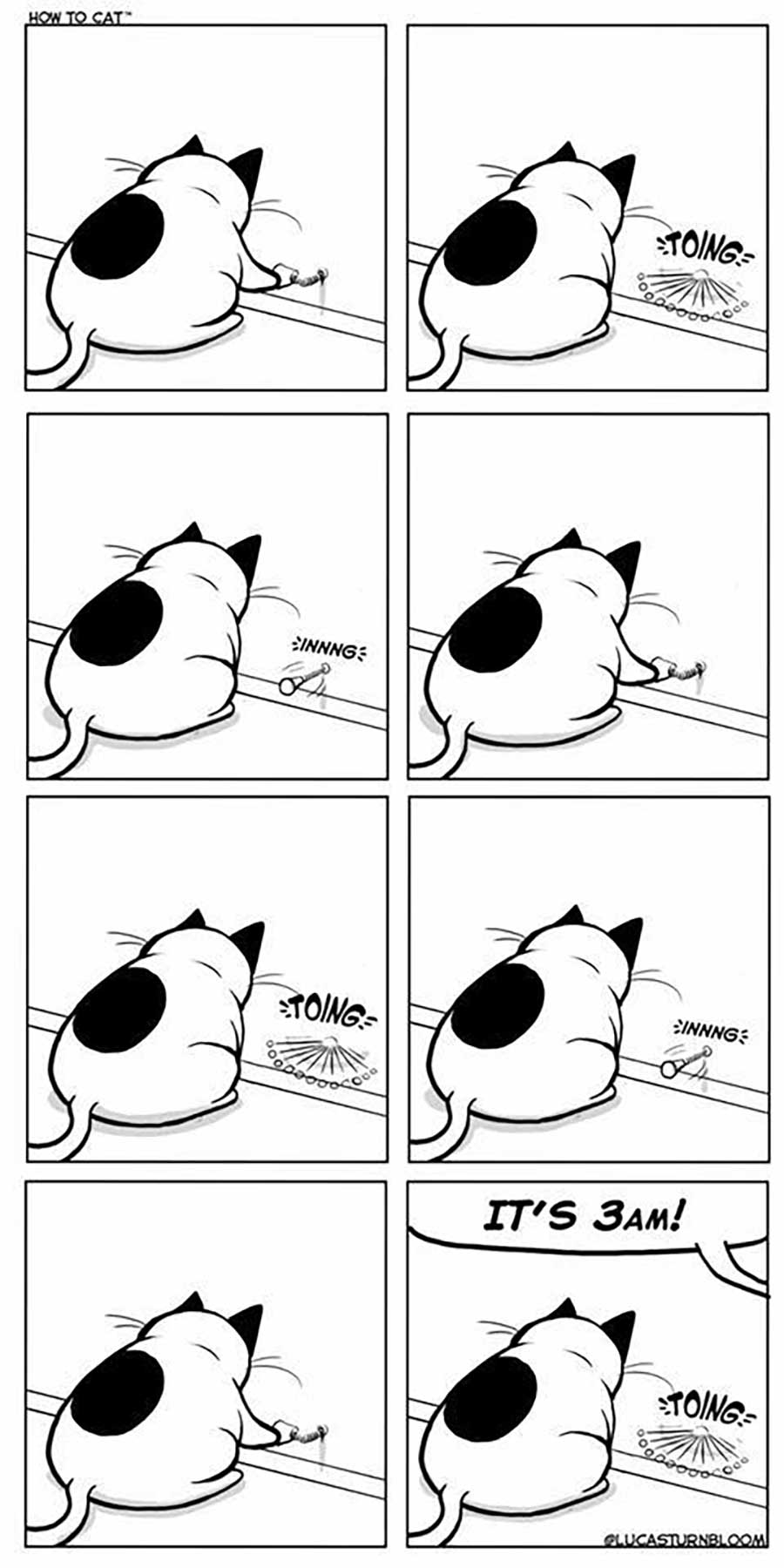Das Leben mit einer Katze im Comic how-to-cat-Lucas-Turnbloom_07 