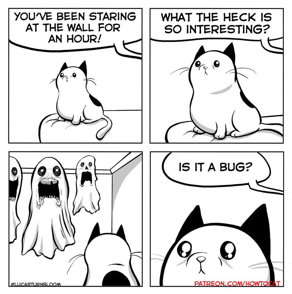 Das Leben mit einer Katze im Comic how-to-cat-Lucas-Turnbloom_09 