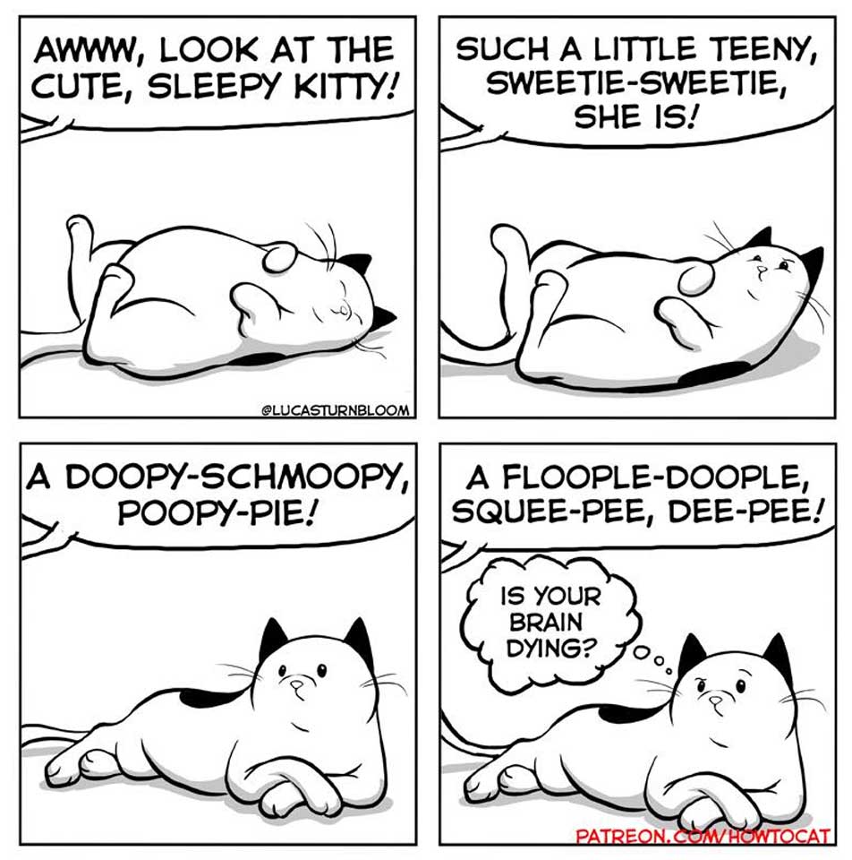 Das Leben mit einer Katze im Comic how-to-cat-Lucas-Turnbloom_11 