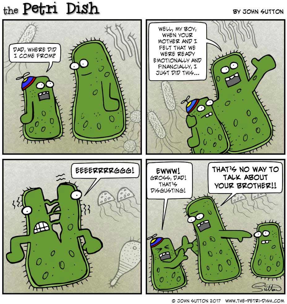 Wissenschafts-Comics eines Nicht-Wissenschaftlers The-Petri-Dish-John-Sutton-Comics_01 