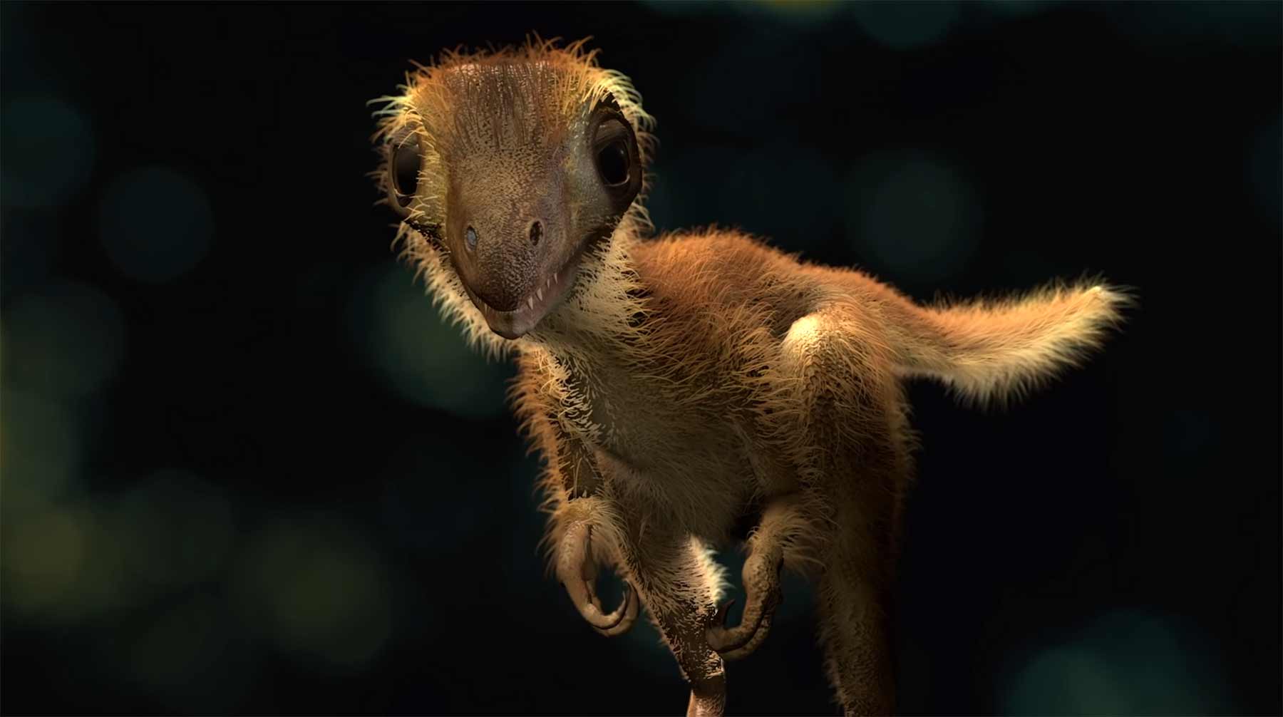 Wie sahen eigentlich Baby-Tyrannosaurus Rex aus? baby-t-rex 