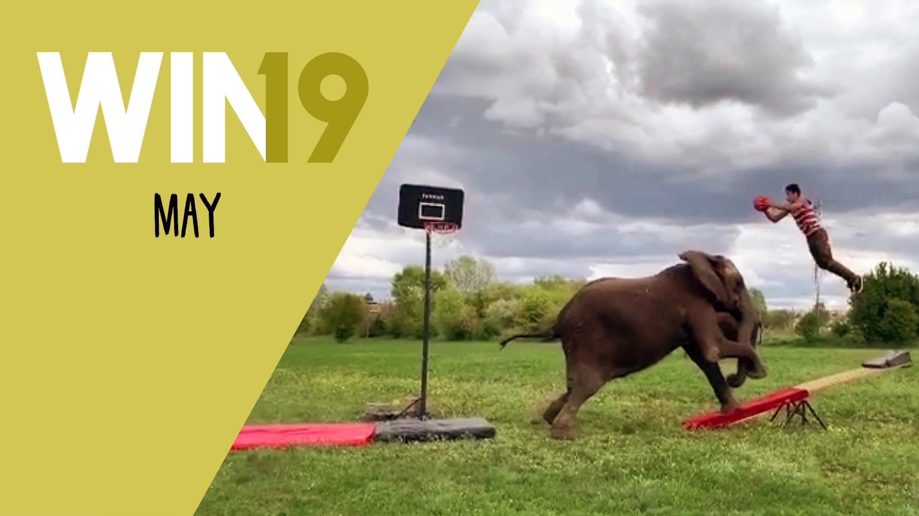 WIN Compilation Mai 2019