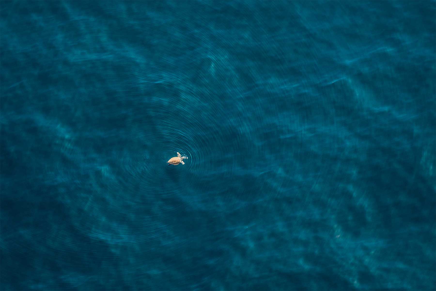 Tolle Luftaufnahmen von Zack Seckler