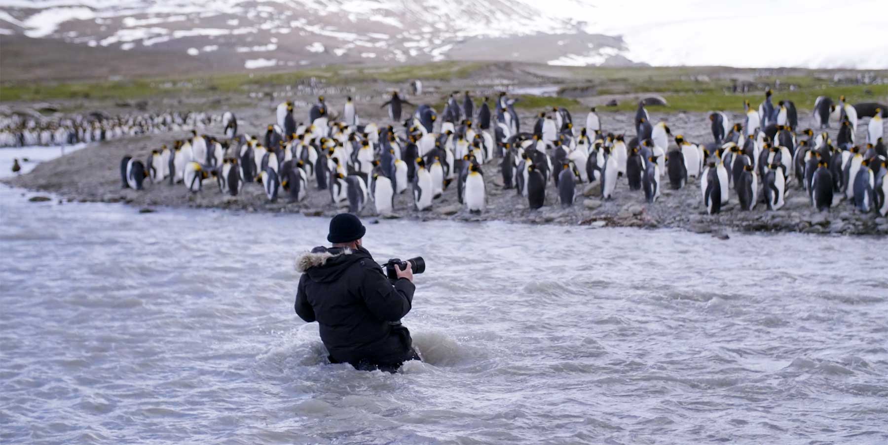 Unterwegs mit einem Pinguin-Fotografen