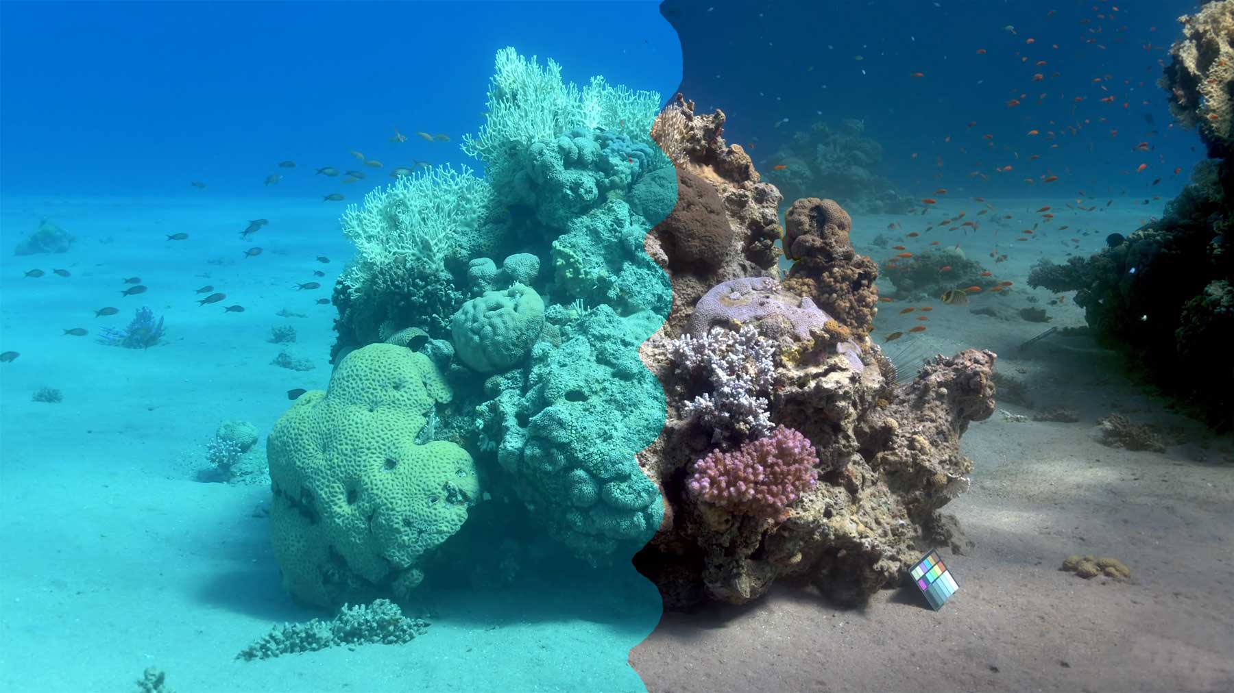 Video-Algorithmus entfernt Wasser aus Unterwasser-Aufnahmen unterwasserfilter-fotografie 