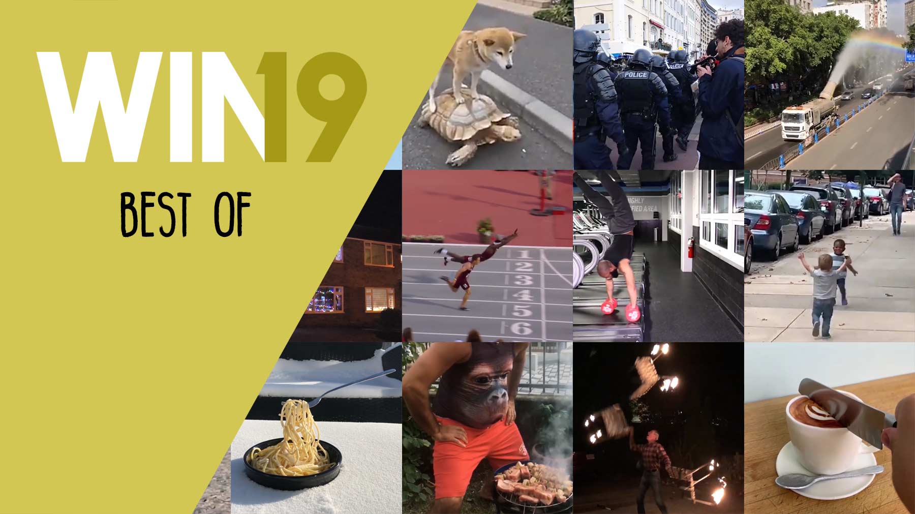 WIN Compilation: Best of 2019