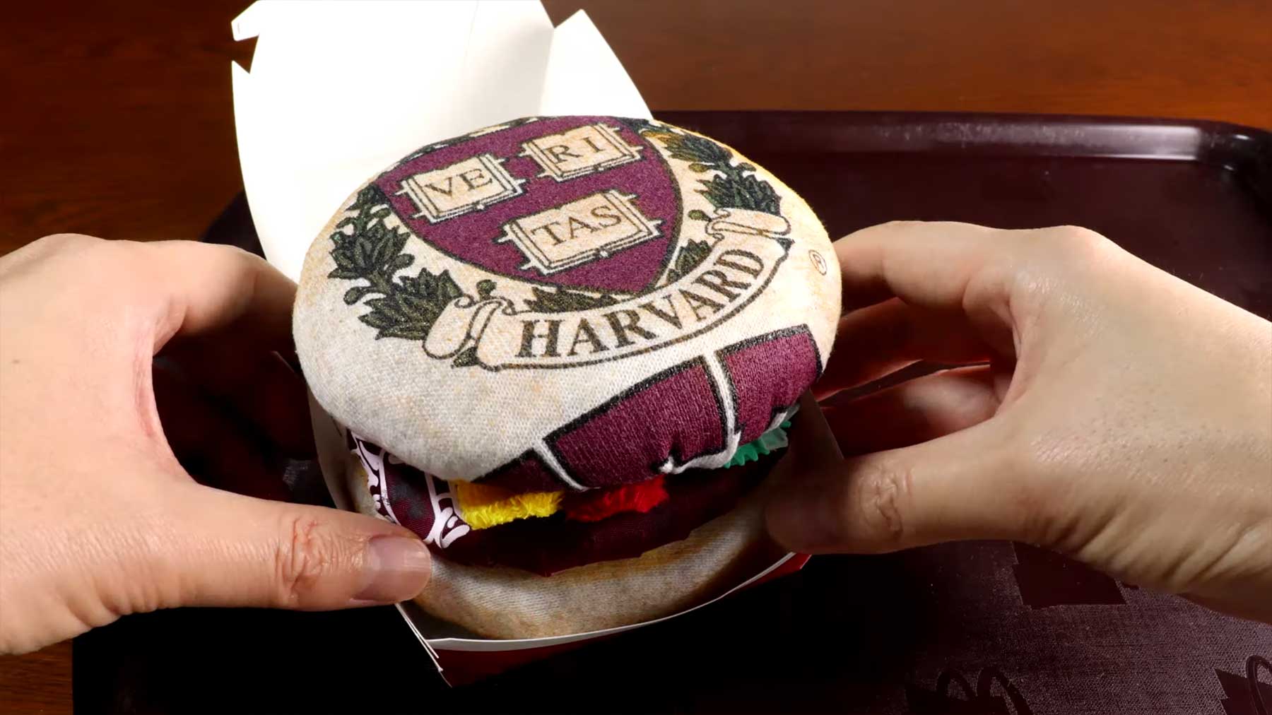 Neue omozoc-Stopmotion: „Secrets of Harvard Students“
