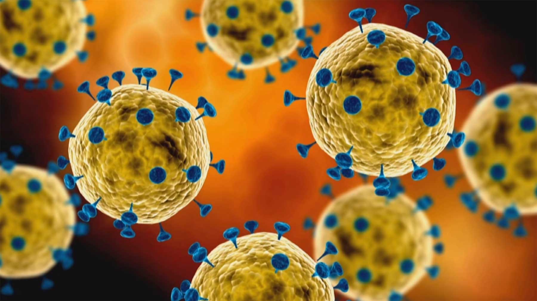 Coronavirus: Erklärung, Fakten, Sachlage coronavirus-erklaerung-visuell 