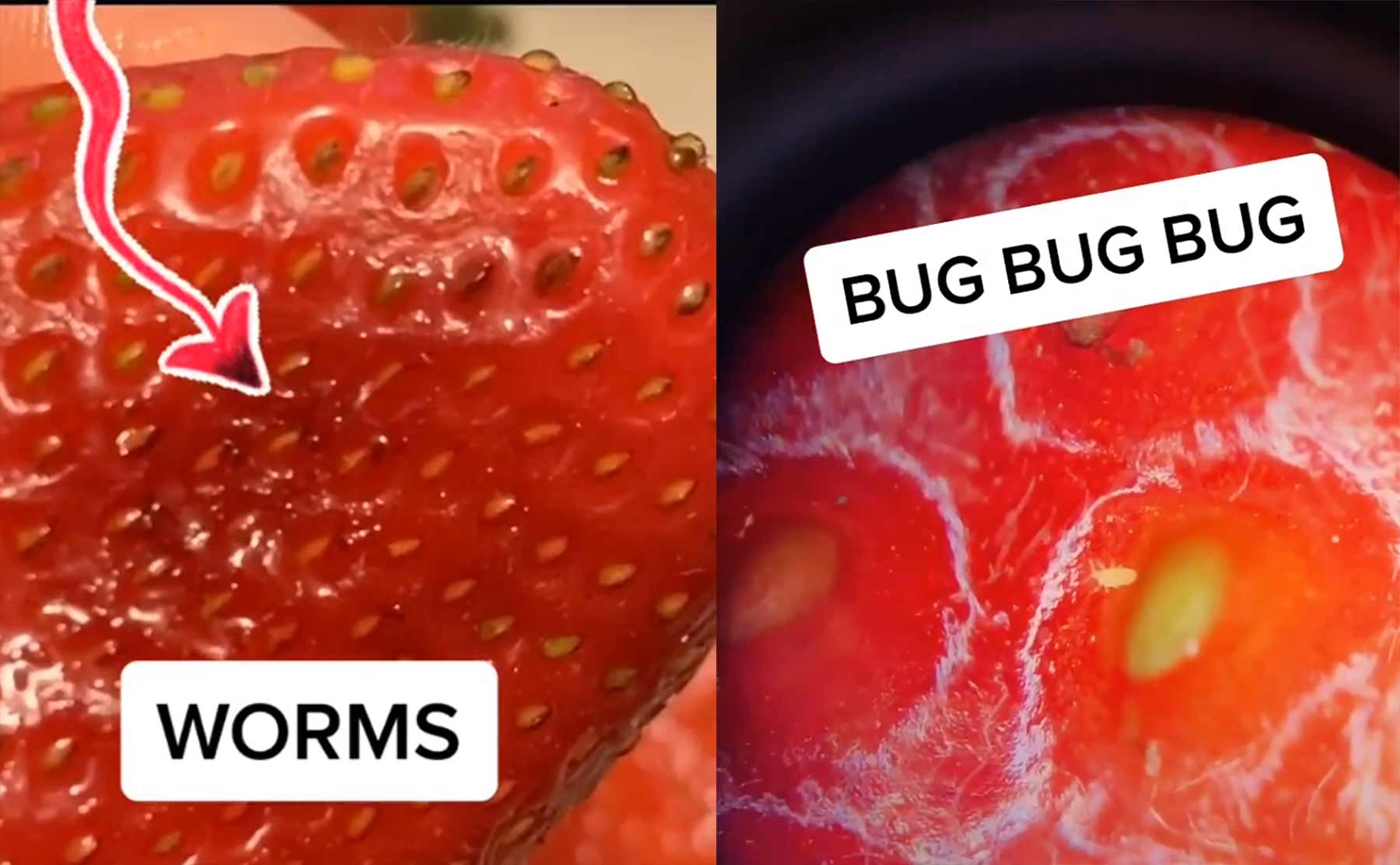 Erdbeeren richtig säubern mit Salzwasser