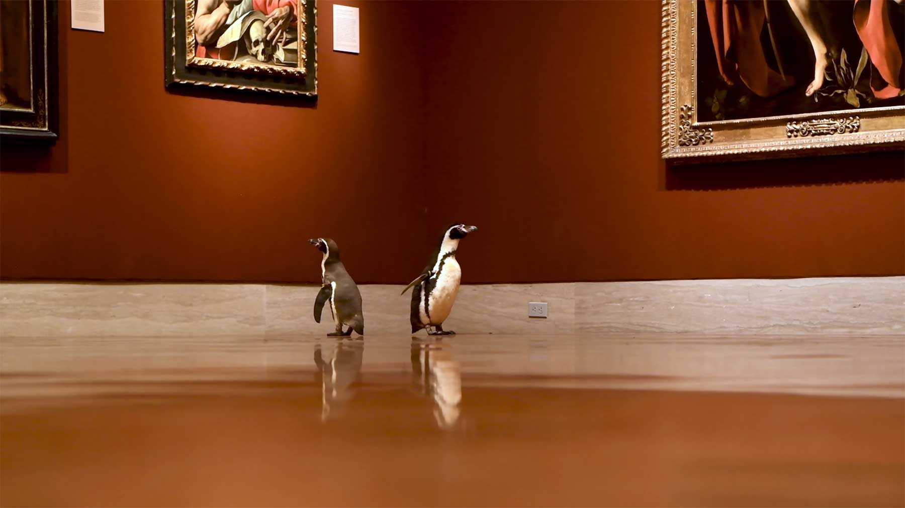 Nur ein paar Pinguine, die durch ein Museum laufen pinguine-im-Nelson-Atkins-museum_01 