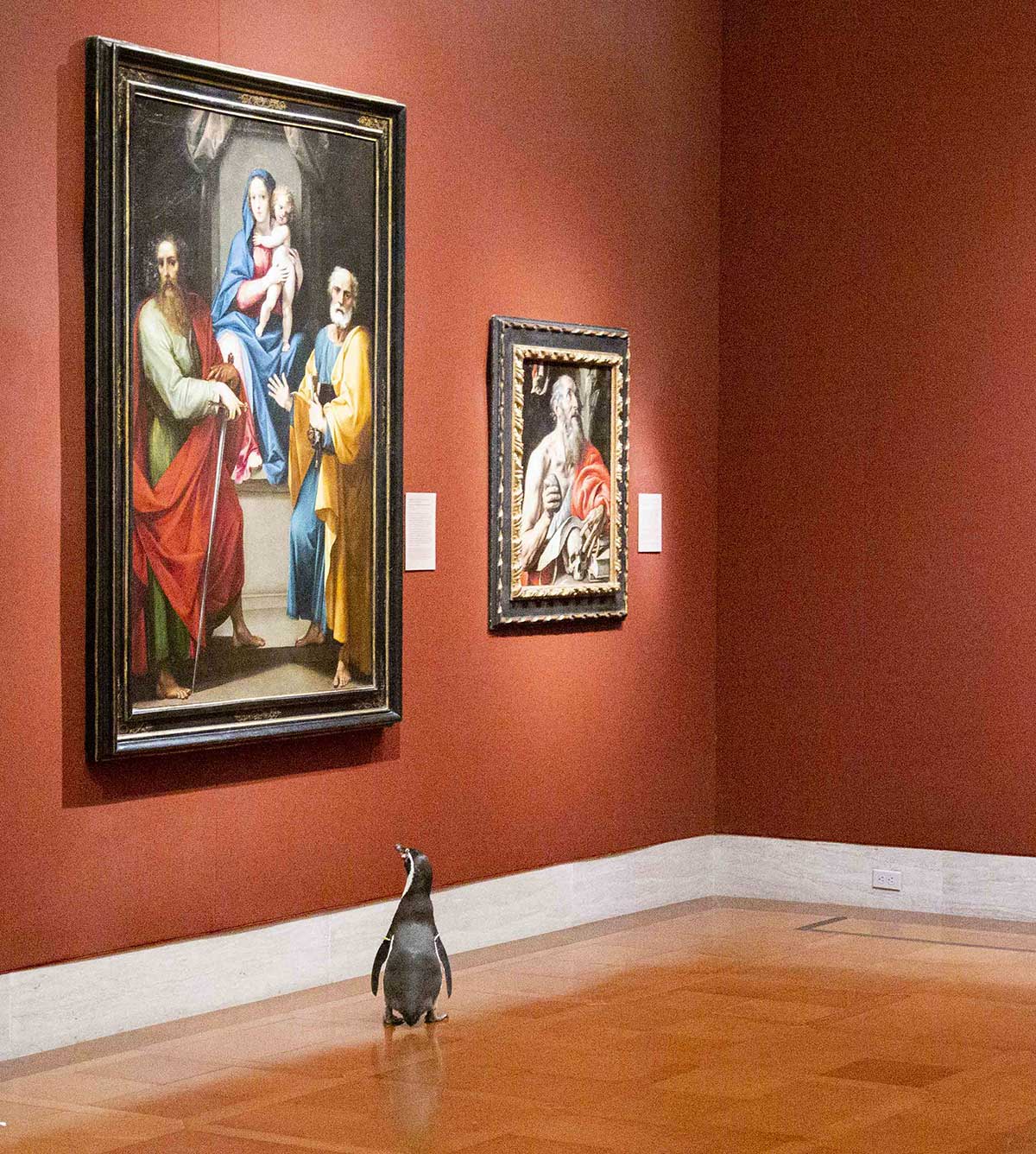 Nur ein paar Pinguine, die durch ein Museum laufen pinguine-im-Nelson-Atkins-museum_02 