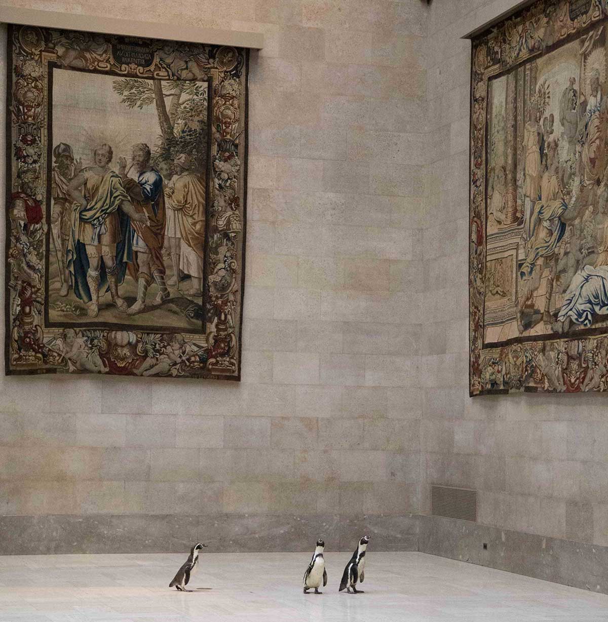 Nur ein paar Pinguine, die durch ein Museum laufen pinguine-im-Nelson-Atkins-museum_04 