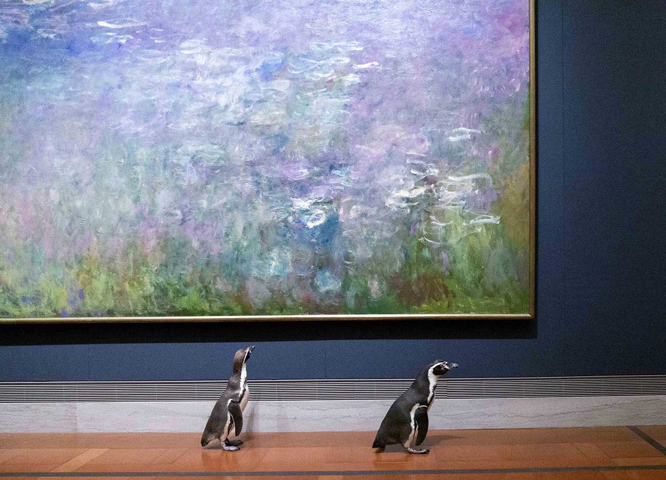 Nur ein paar Pinguine, die durch ein Museum laufen pinguine-im-Nelson-Atkins-museum_05 