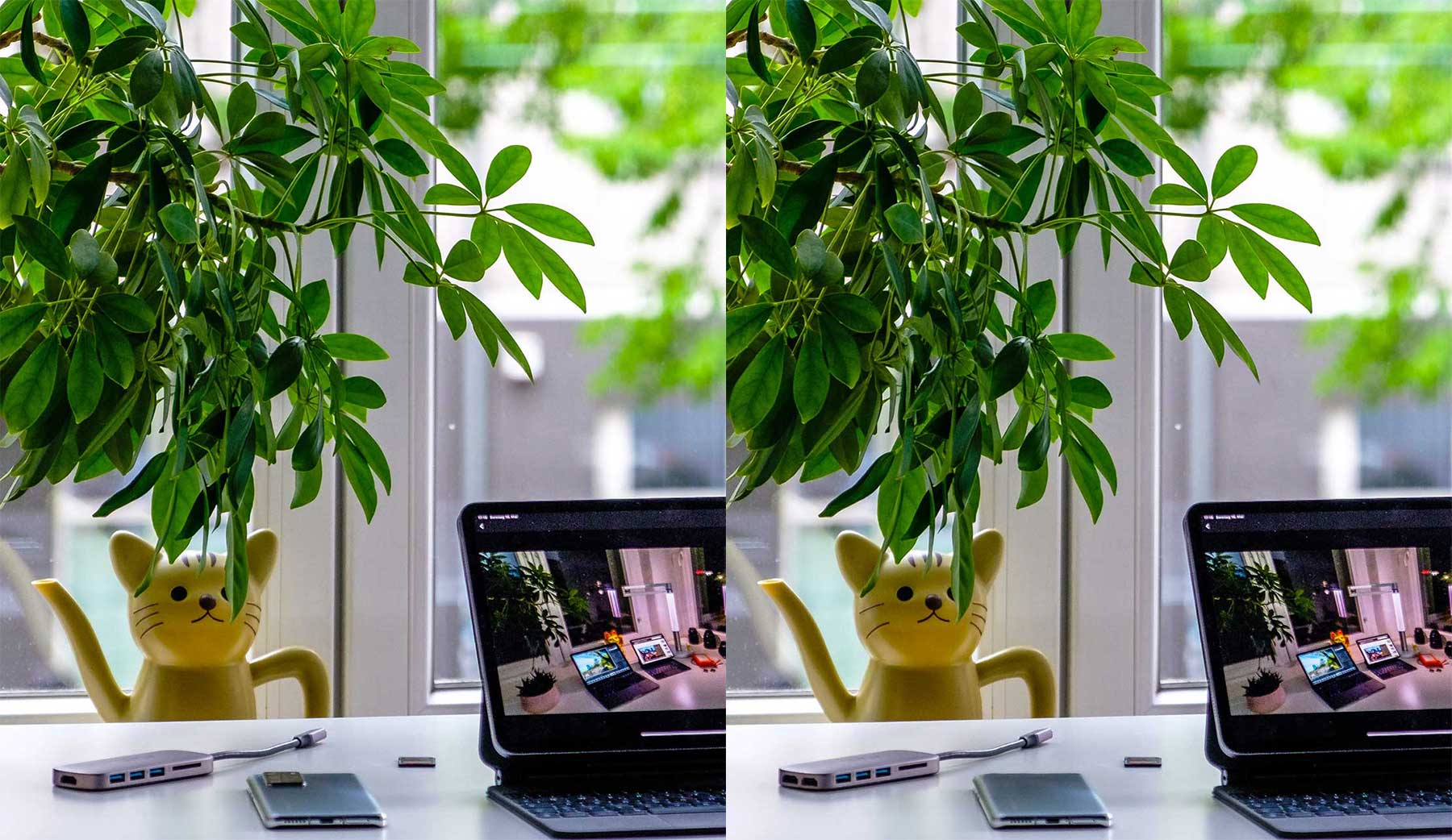 FehlerFindFreitag Nr. 29