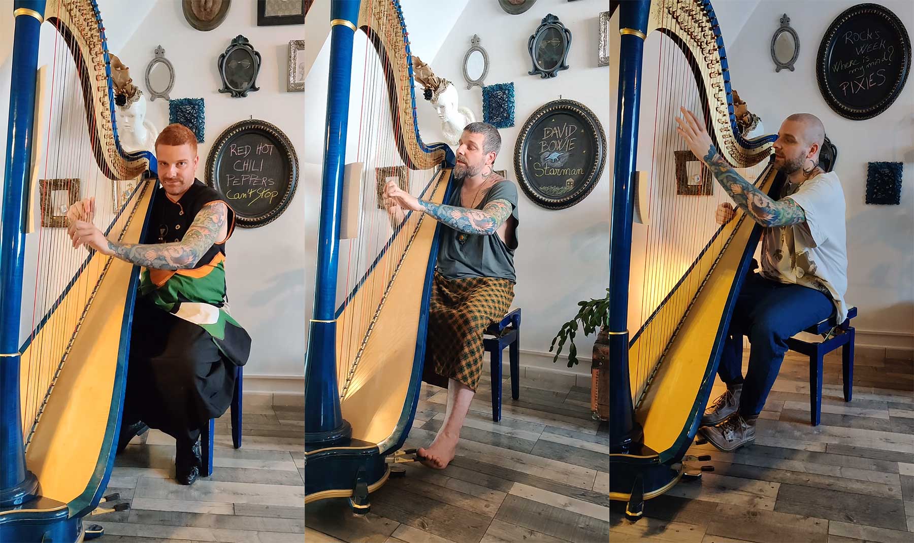 Maël Isaac spielt Rock-Klassiker auf der Harfe Mael-Isaac-harp-covers 