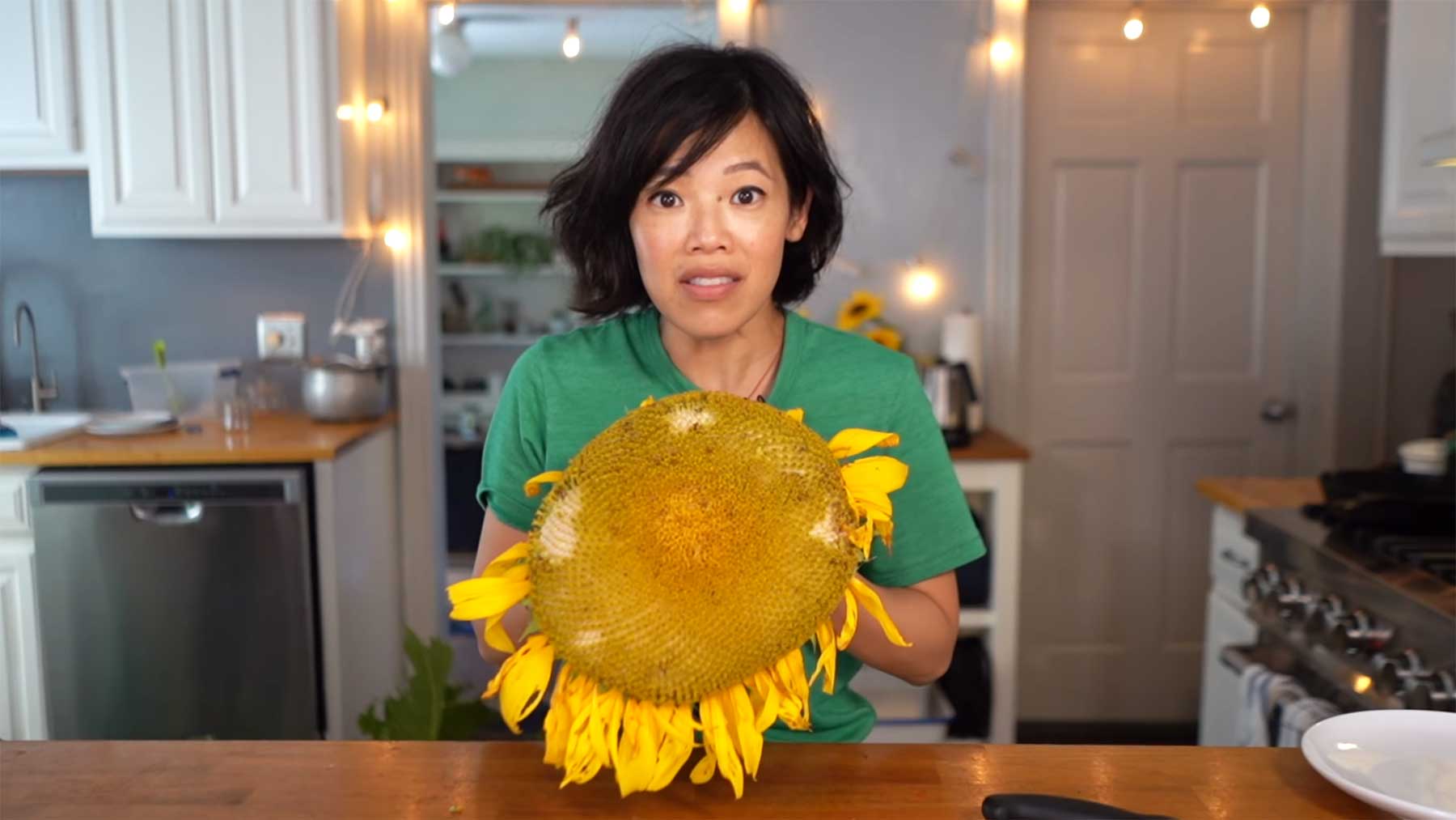 Wie man den Kopf einer Sonnenblume essen kann