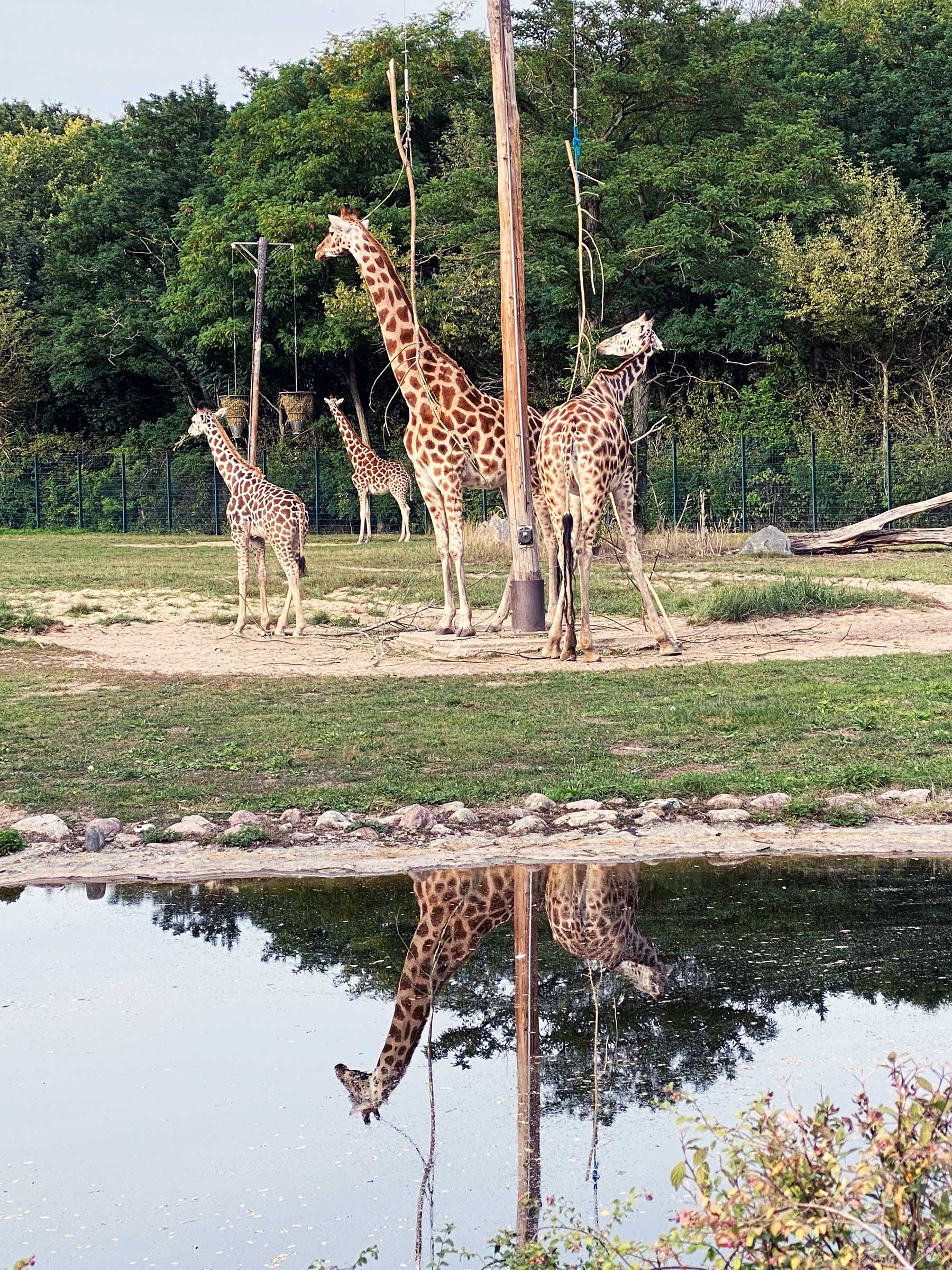 Meine Woche (256) Meine-Woche-256_07 