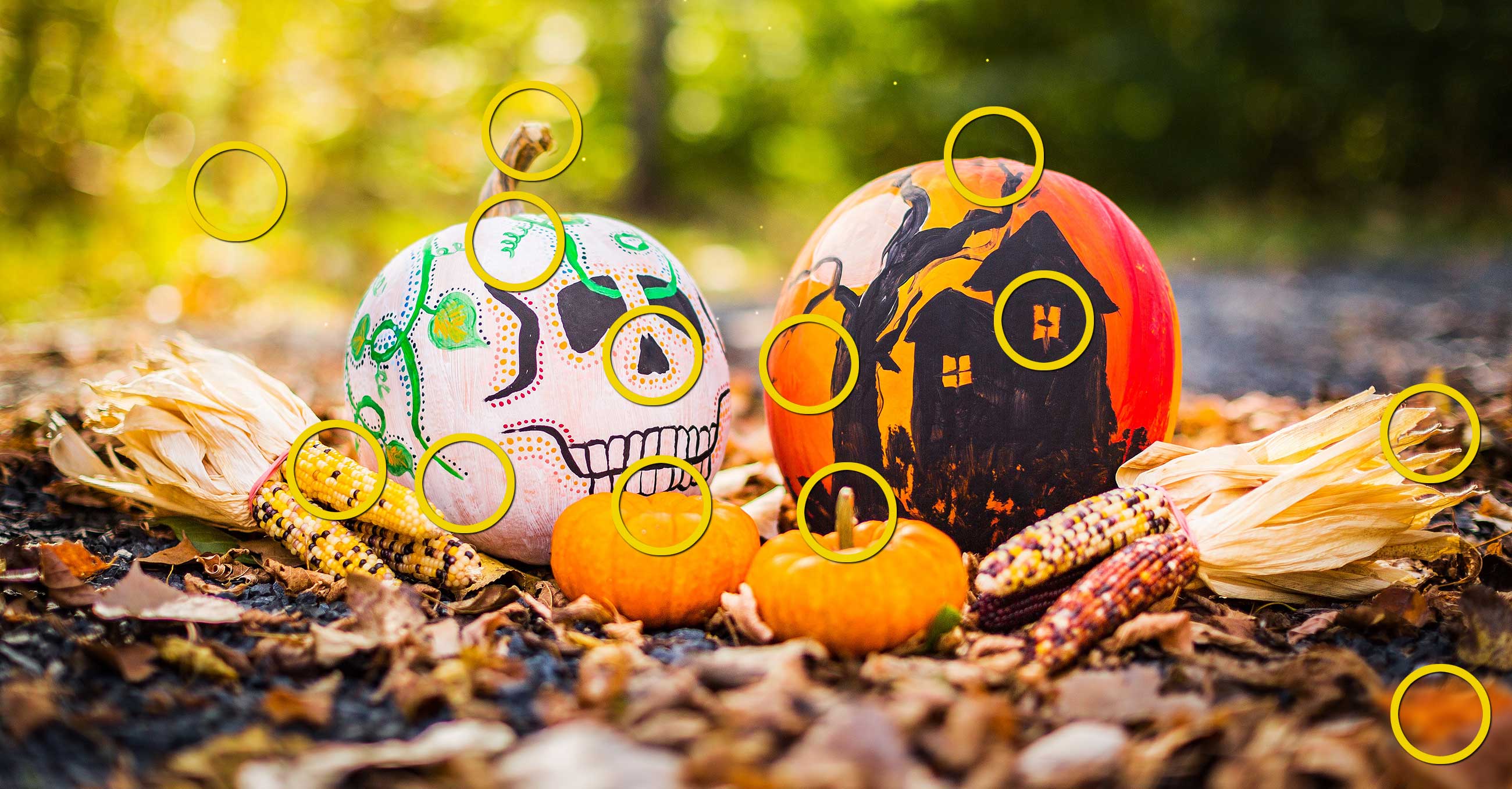 FehlerFindFreitag Nr. 44 FFF-44_LOESUNG