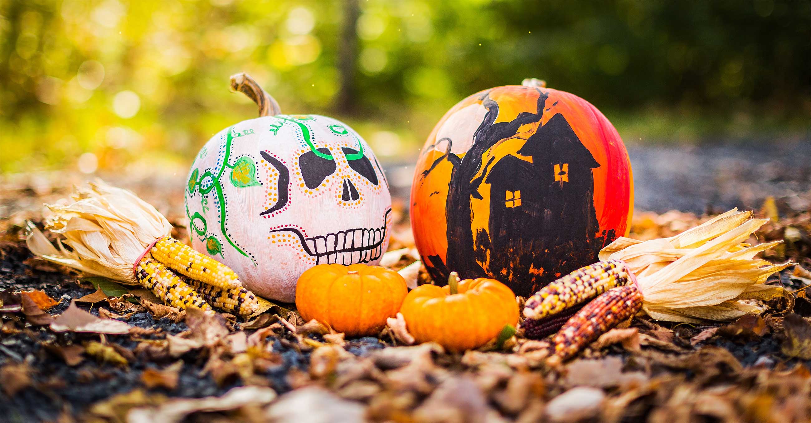 FehlerFindFreitag Nr. 44 FFF-44_ORIGINAL