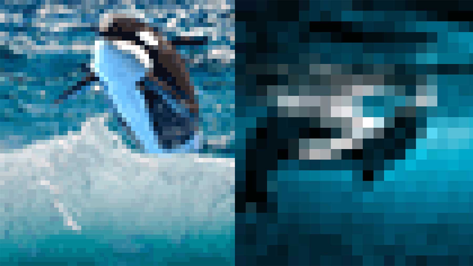 Tierbilder aus so wenigen Pixeln, wie es noch Exemplare davon auf der Welt gibt Aussterbende-Pixel-tiere_01 