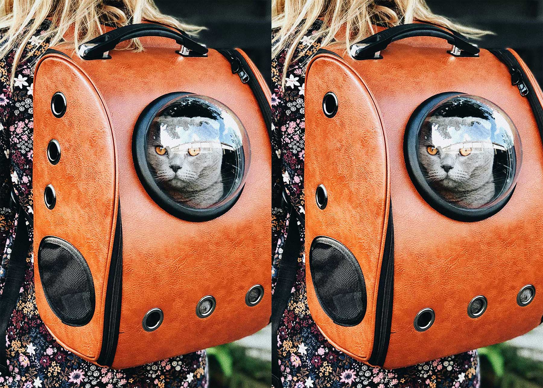 FehlerFindFreitag Nr. 57